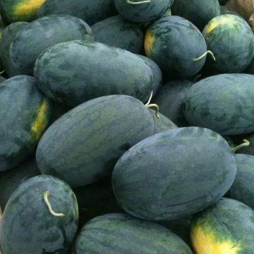 康县二宝吃瓜,夏日消暑新宠