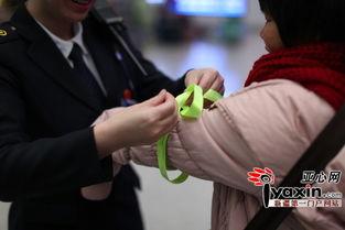 头条张彦丽,头条风云人物，揭秘她的成功之路