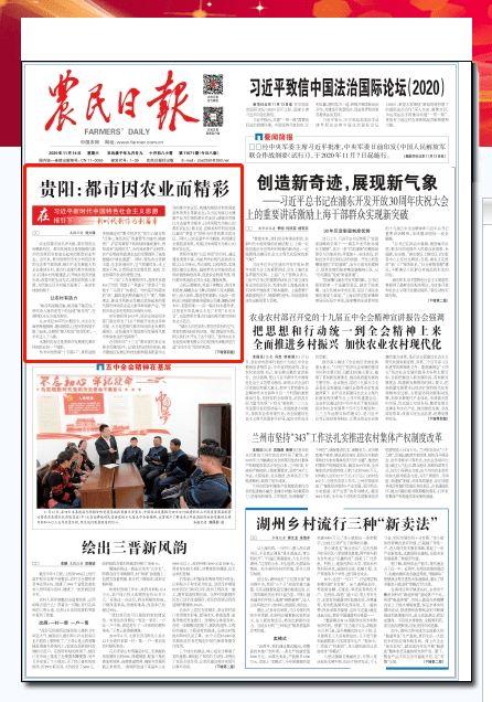 今日新闻头条农业农村,农业农村发展新篇章