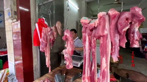 广东网红猪肉侥,广东网红猪肉的传奇之路