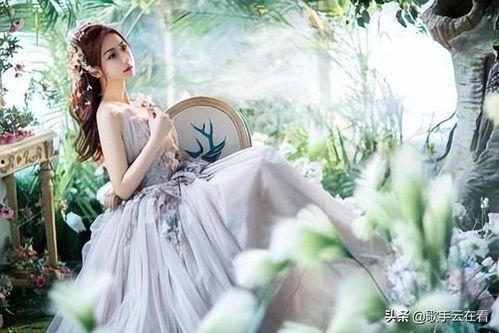 lll小姐的女明星,女明星的璀璨人生与璀璨瞬间