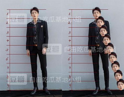 男明星头身比对比,身材比例谁更胜一筹？