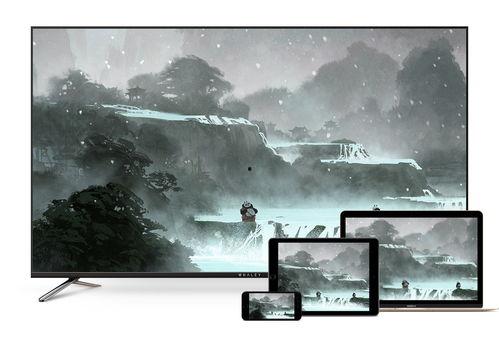 头条短视频如何投屏,掌握一键分享新技能