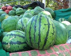 吃瓜是什么原因,揭秘“吃瓜群众”现象背后的社会心理