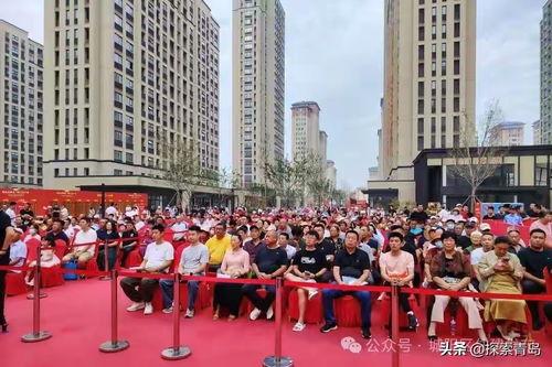 青岛头条拆迁城阳,城阳区拆迁新动态，旧貌换新颜纪实