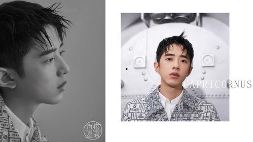 双子和摩羯 明星