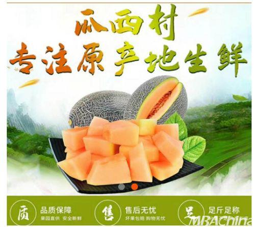 吃哈密瓜发酵味道,探寻独特风味之谜