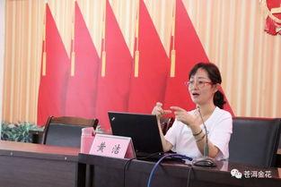 凤仪镇的头条新闻,揭秘凤仪镇乡村振兴新篇章