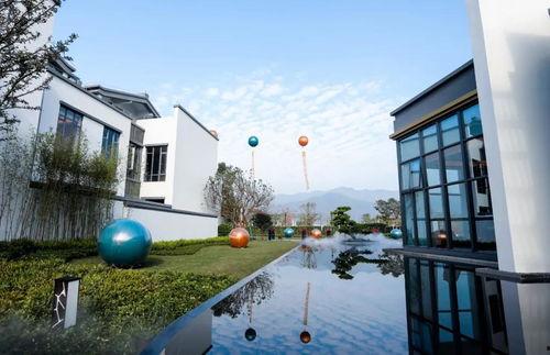 广东肇庆头条图文,探寻肇庆历史文化与现代风貌的交融之美