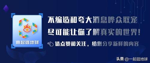 华人在美国今日头条,聚焦华人社区发展，展现华人在美生活新篇章