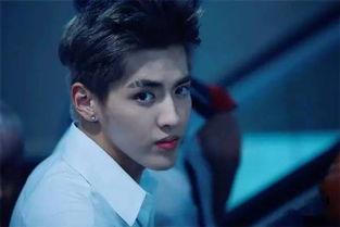 全国明星大概多少位,数千璀璨星辰汇聚一堂