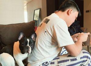 网红老狗和公司合影照,共谱职场新篇章