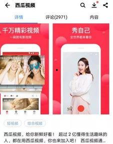 头条直播放什么视频,精彩纷呈，热门视频轮番上演