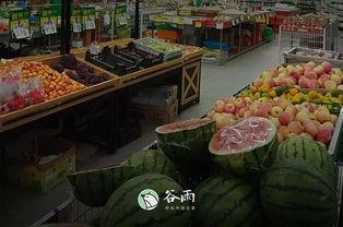 吃瓜群众东新村,吃瓜群众眼中的乡村变迁