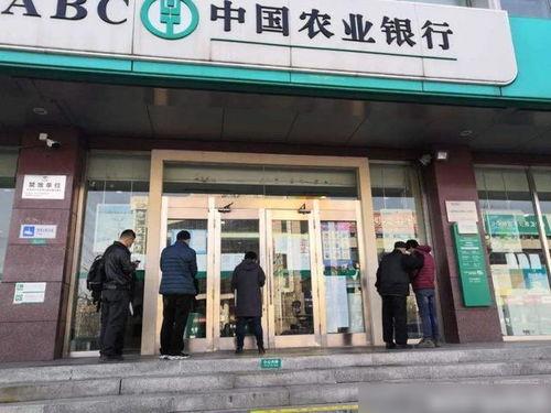 苏州农行网红网点有哪些,打卡热门金融地标