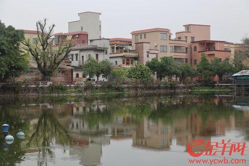 佛山贤鲁岛网红景点,隐匿于繁华都市的世外桃源