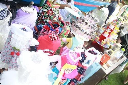 红摆网,揭秘时尚潮流风向标，引领潮流生活新风尚