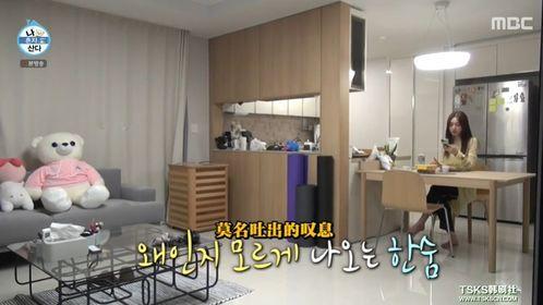 韩国明星的装修,揭秘韩国明星的时尚装修秘籍