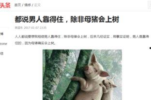 吉林头条搞笑视频,笑料百出，欢乐无限