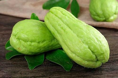 fred桑荷兰吃瓜,揭秘荷兰美食文化