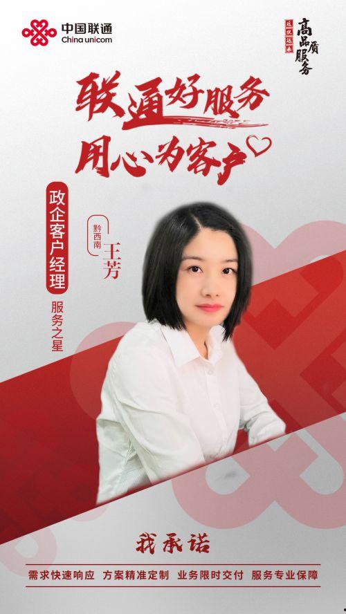 沈丘头条新闻王芳简历,王芳简历背后的故事与成就