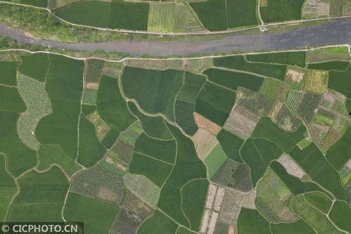 湖南苗乡今日头条