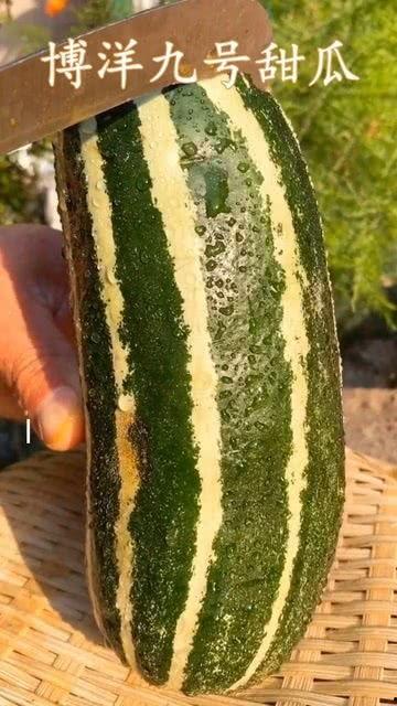 最近有啥瓜可以吃,揭秘近期热门八卦事件