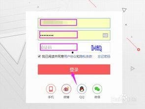 怎么设置头条收入显示,头条收入显示操作指南