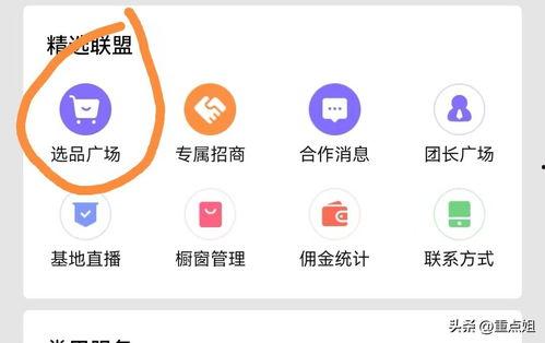 怎么加入头条的橱窗商品,商品入驻攻略全解析