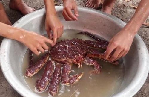 农村网红洗鱼视频大全,视频大全带你领略乡村洗鱼风采